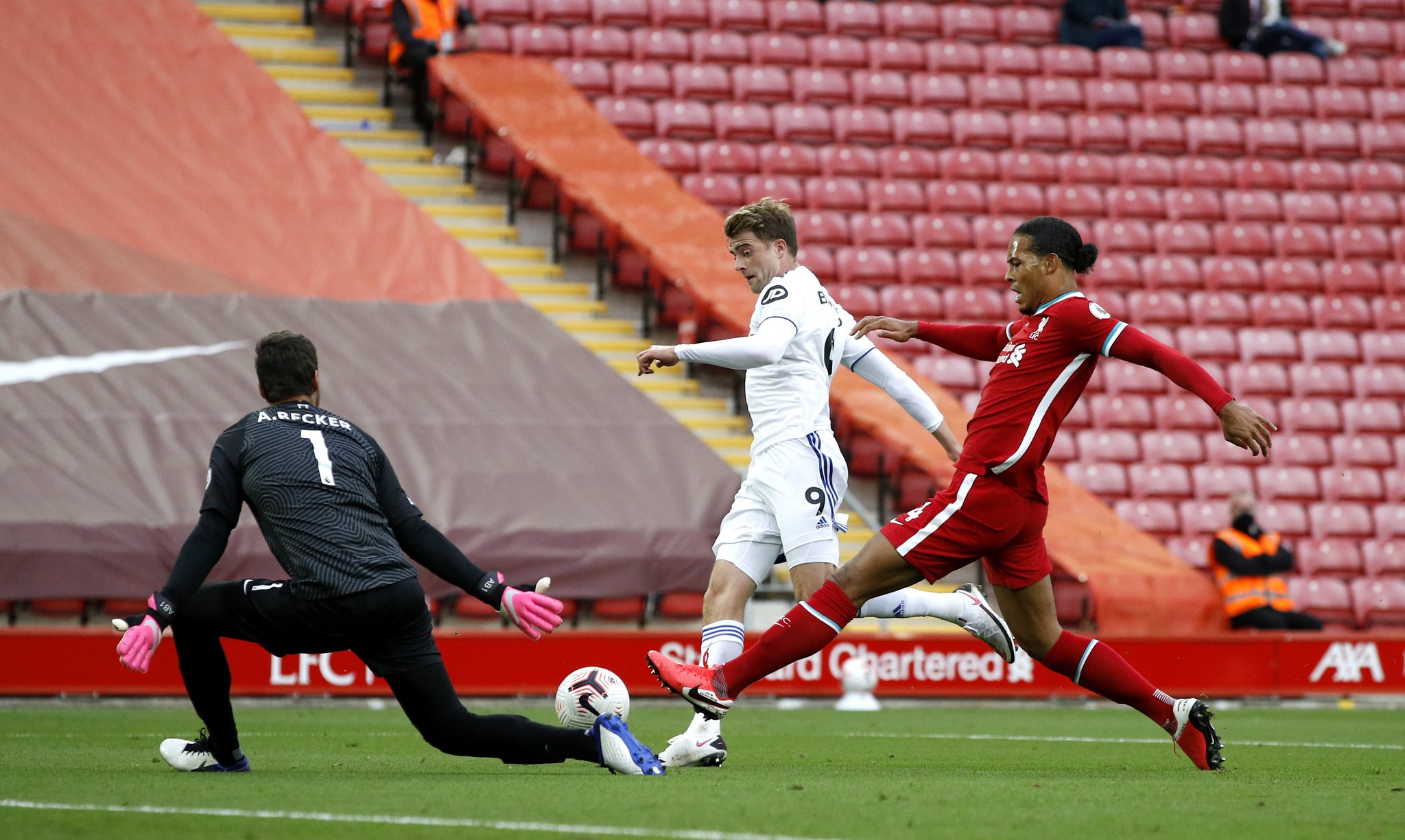 近年来他们 近年来他们