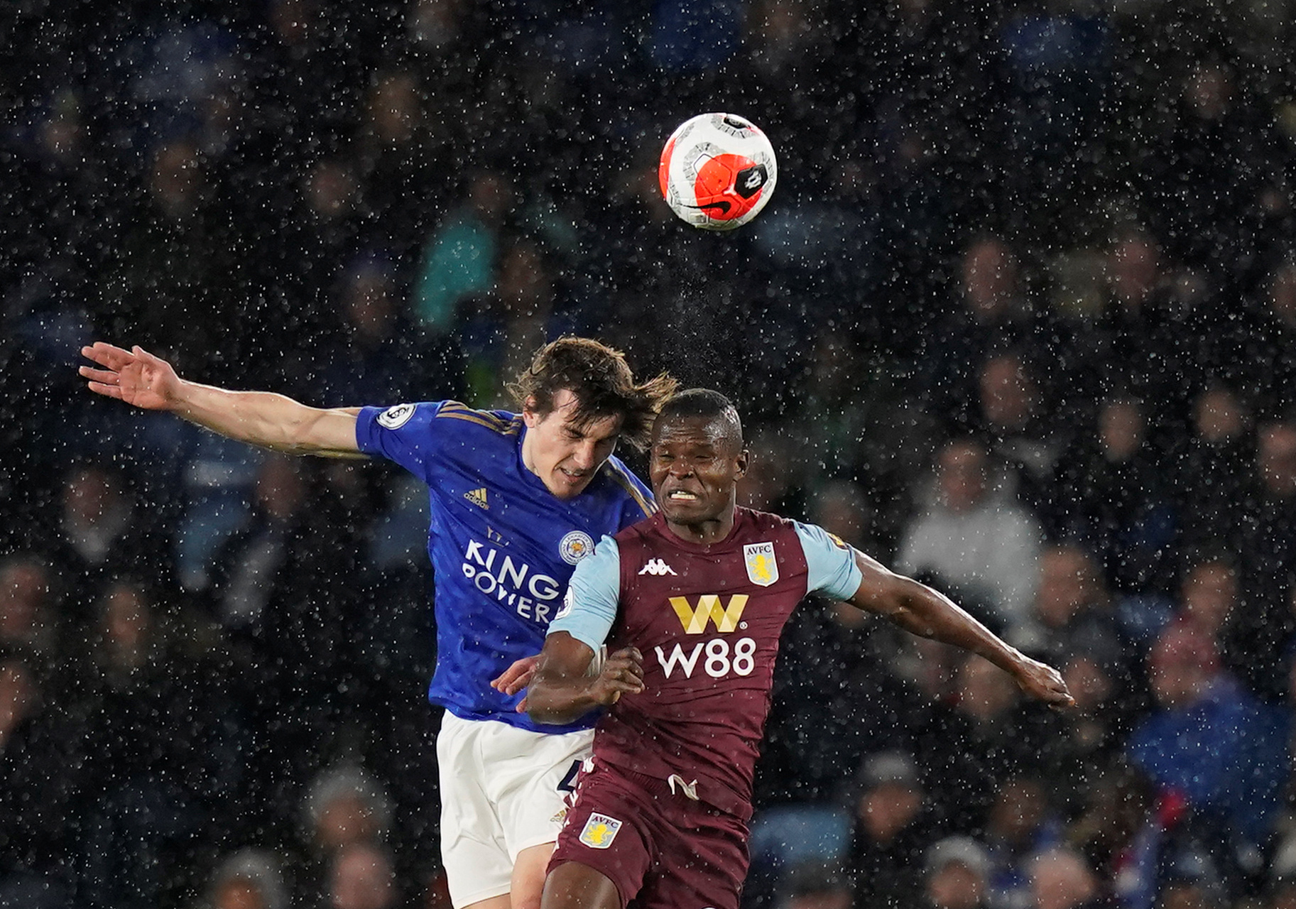 森林狼尝试 森林狼尝试